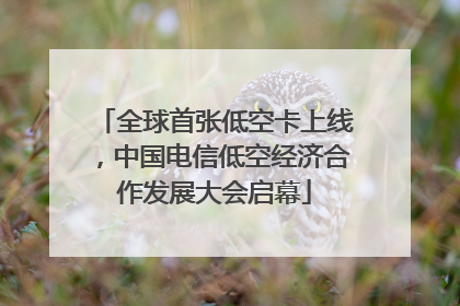 全球首张低空卡上线，中国电信低空经济合作发展大会启幕