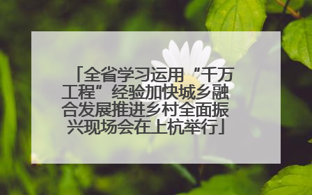 全省学习运用“千万工程”经验加快城乡融合发展推进乡村全面振兴现场会在上杭举行