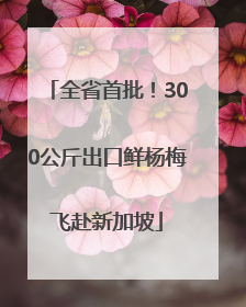 全省首批！300公斤出口鲜杨梅飞赴新加坡