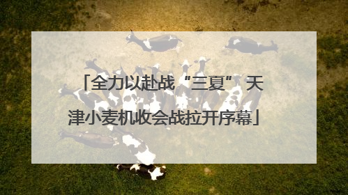 全力以赴战“三夏” 天津小麦机收会战拉开序幕