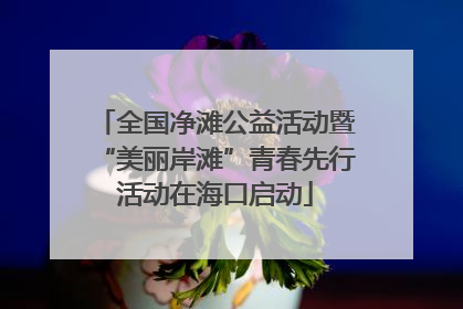 全国净滩公益活动暨“美丽岸滩”青春先行活动在海口启动
