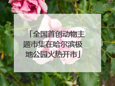 全国首创动物主题市集在哈尔滨极地公园火热开市