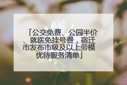公交免费、公园半价、就医免挂号费，宿迁市发布市级及以上劳模优待服务清单