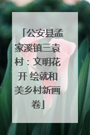 公安县孟家溪镇三袁村：文明花开 绘就和美乡村新画卷