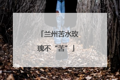 兰州苦水玫瑰不“苦”