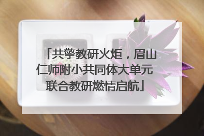 共擎教研火炬，眉山仁师附小共同体大单元联合教研燃情启航
