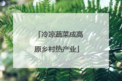 冷凉蔬菜成高原乡村热产业