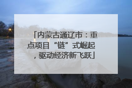 内蒙古通辽市：重点项目“链”式崛起，驱动经济新飞跃