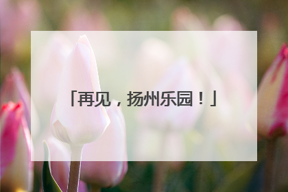 再见，扬州乐园！
