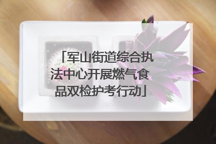 军山街道综合执法中心开展燃气食品双检护考行动