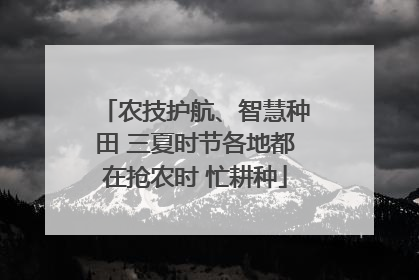 农技护航、智慧种田 三夏时节各地都在抢农时 忙耕种