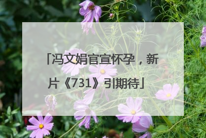冯文娟官宣怀孕，新片《731》引期待