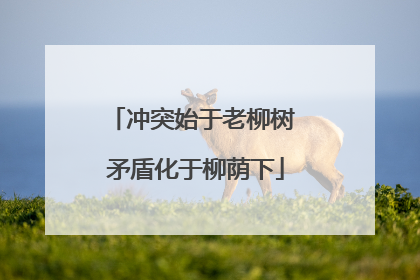 冲突始于老柳树 矛盾化于柳荫下