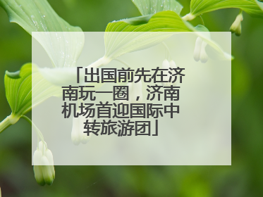 出国前先在济南玩一圈，济南机场首迎国际中转旅游团
