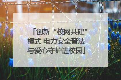 创新“校网共建”模式 电力安全普法与爱心守护进校园