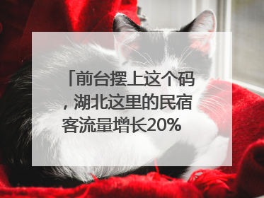 前台摆上这个码，湖北这里的民宿客流量增长20%｜湖北市场监管所的故事