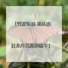 劈波斩浪 重庆忠县龙舟竞渡迎端午