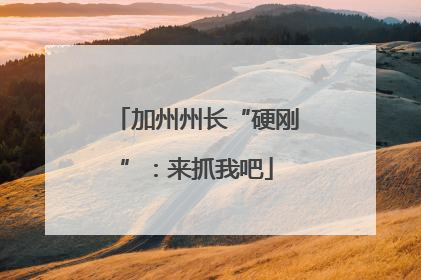 加州州长“硬刚”：来抓我吧