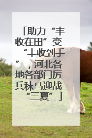 助力“丰收在田”变“丰收到手”，河北各地各部门厉兵秣马迎战“三夏”