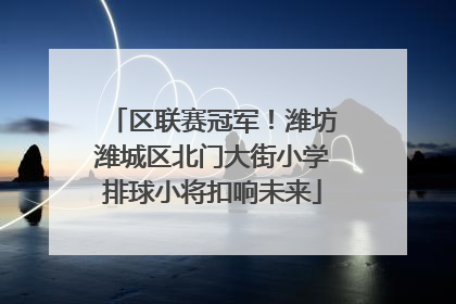区联赛冠军！潍坊潍城区北门大街小学排球小将扣响未来