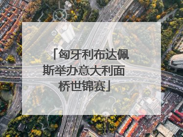 匈牙利布达佩斯举办意大利面桥世锦赛