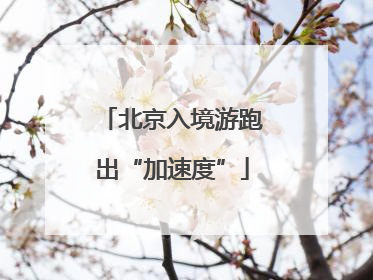 北京入境游跑出“加速度”