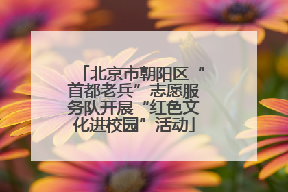 北京市朝阳区“首都老兵”志愿服务队开展“红色文化进校园”活动