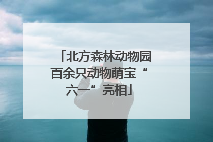 北方森林动物园百余只动物萌宝“六一”亮相