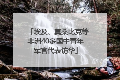 埃及、莫桑比克等非洲40多国中青年军官代表访华