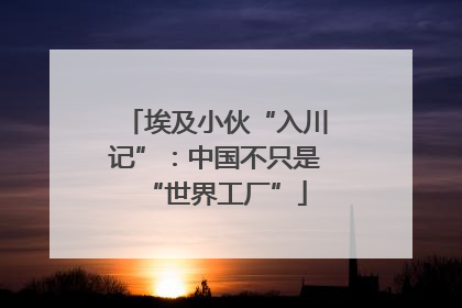 埃及小伙“入川记”：中国不只是“世界工厂”
