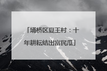 埇桥区夏王村：十年耕耘结出富民瓜