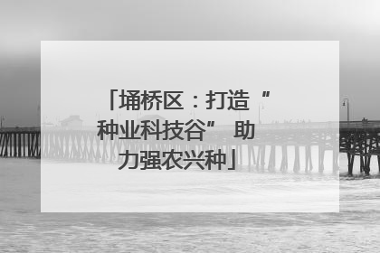 埇桥区：打造“种业科技谷” 助力强农兴种