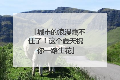 城市的浪漫藏不住了！这个夏天祝你一路生花