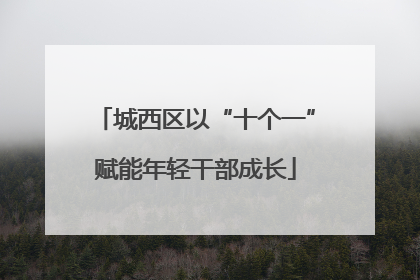 城西区以“十个一”赋能年轻干部成长