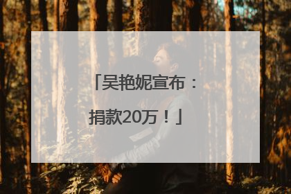 吴艳妮宣布：捐款20万！