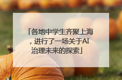各地中学生齐聚上海，进行了一场关于AI治理未来的探索