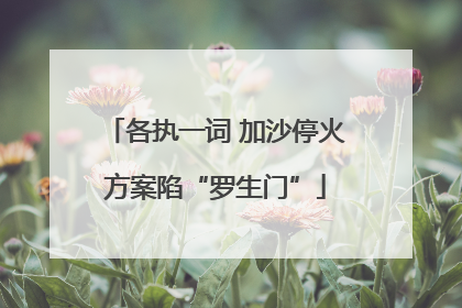 各执一词 加沙停火方案陷“罗生门”