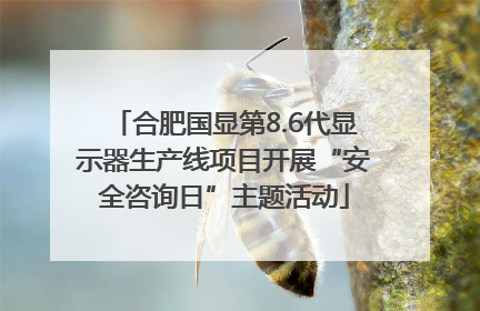 合肥国显第8.6代显示器生产线项目开展“安全咨询日”主题活动