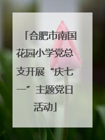 合肥市南国花园小学党总支开展“庆七一”主题党日活动