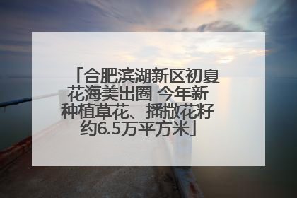 合肥滨湖新区初夏花海美出圈 今年新种植草花、播撒花籽约6.5万平方米