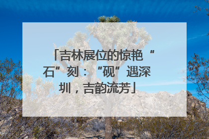 吉林展位的惊艳“石”刻：“砚”遇深圳，吉韵流芳