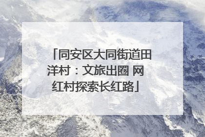 同安区大同街道田洋村：文旅出圈 网红村探索长红路