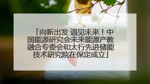 向新出发 遇见未来！中国能源研究会未来能源产教融合专委会和太行先进储能技术研究院在保定成立