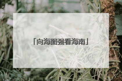 向海图强看海南
