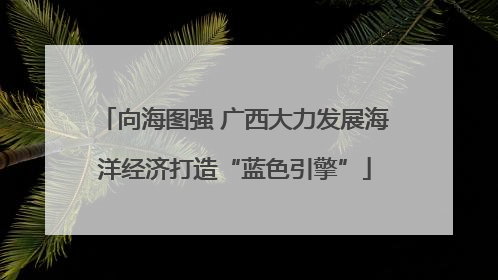 向海图强 广西大力发展海洋经济打造“蓝色引擎”