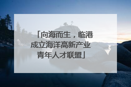 向海而生，临港成立海洋高新产业青年人才联盟