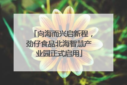 向海而兴启新程，劲仔食品北海智慧产业园正式启用
