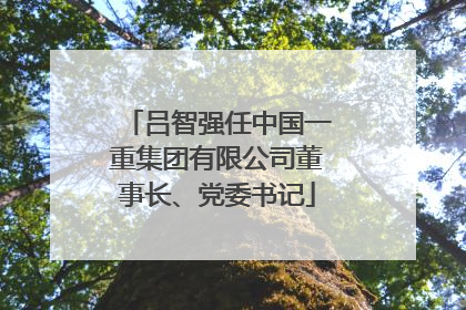 吕智强任中国一重集团有限公司董事长、党委书记