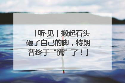 听·见｜搬起石头砸了自己的脚，特朗普终于“慌”了！