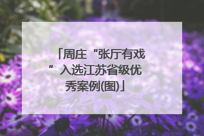 周庄“张厅有戏”入选江苏省级优秀案例(图)